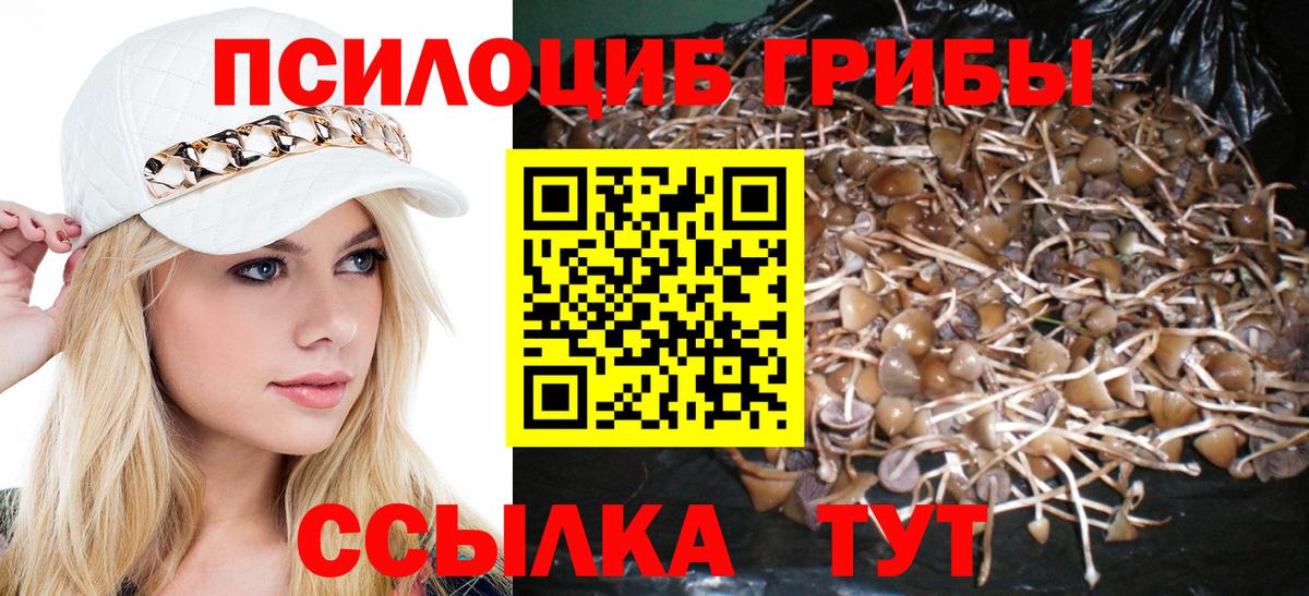 Севастополь  Галлюциногенные грибы GOLDEN TEACHER  Вход с VPN 